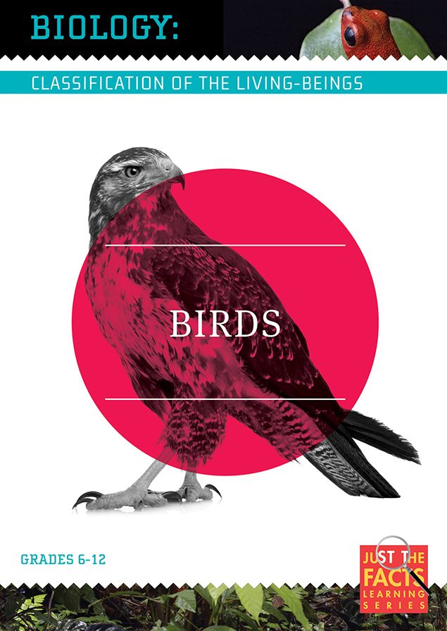 Biology Classification: Birds