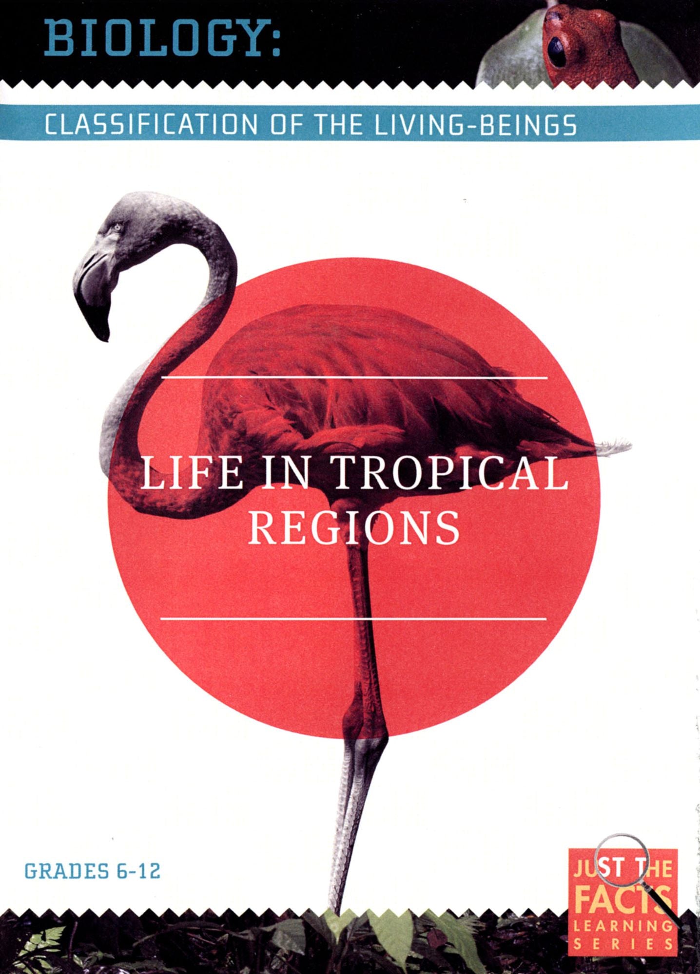 Biology Classification: Life In Tropical Regions