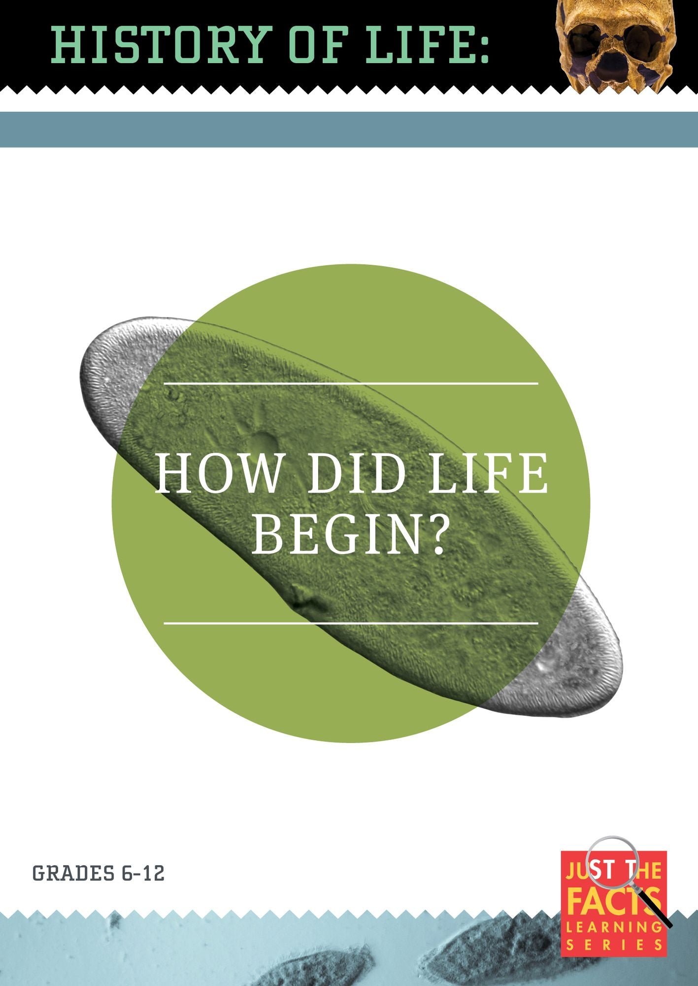 History Of Life: How Did Life Begin?