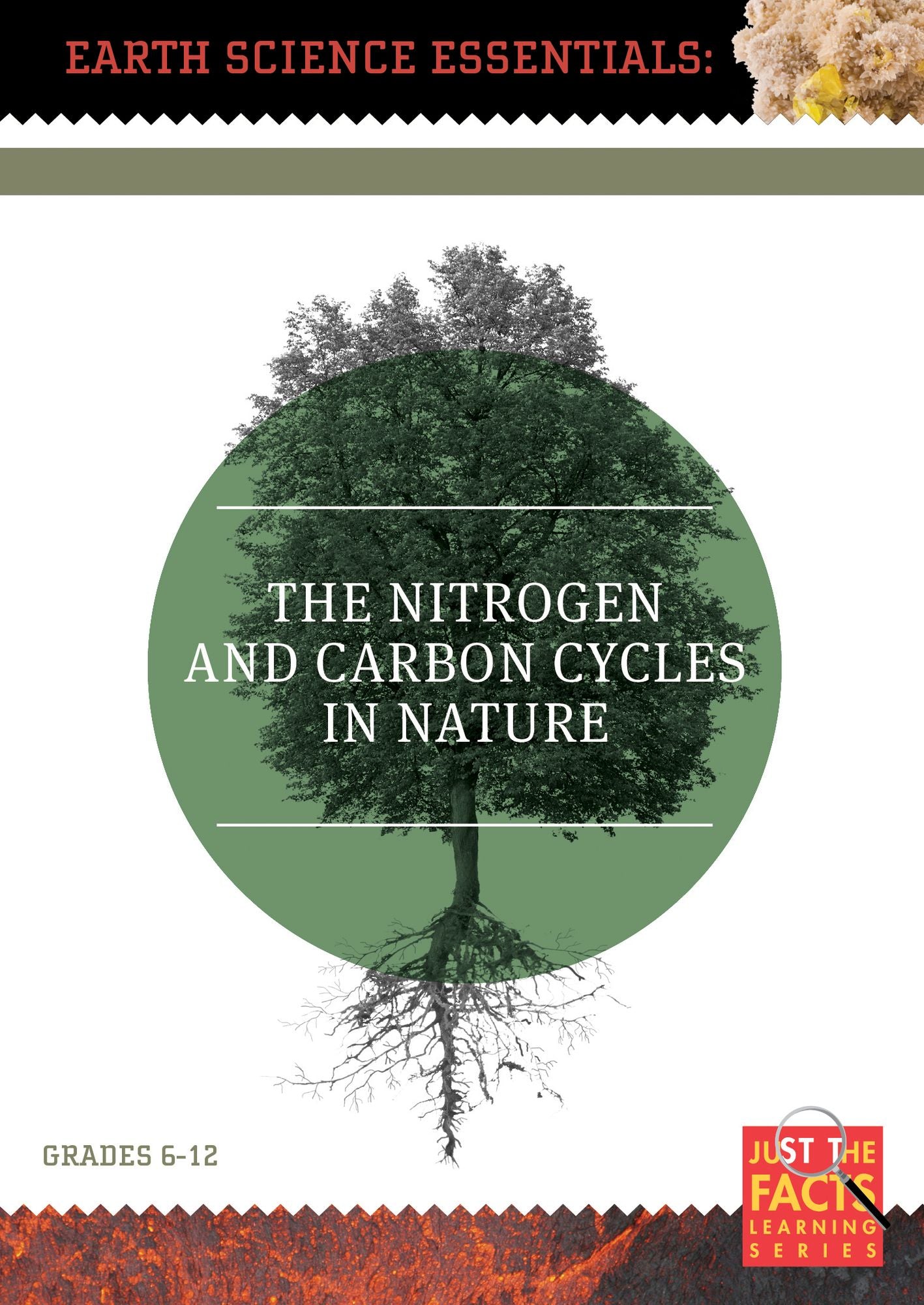 Earth Science Essentials: Nitrogen And Carbon Cycles