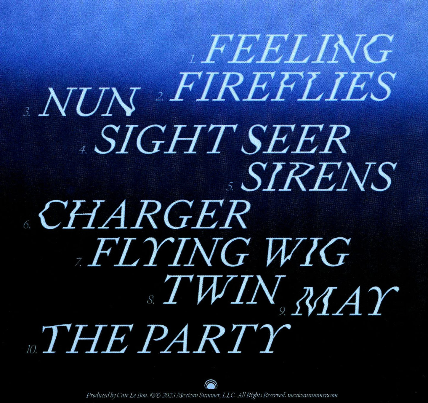 Flying Wig