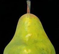 Pear