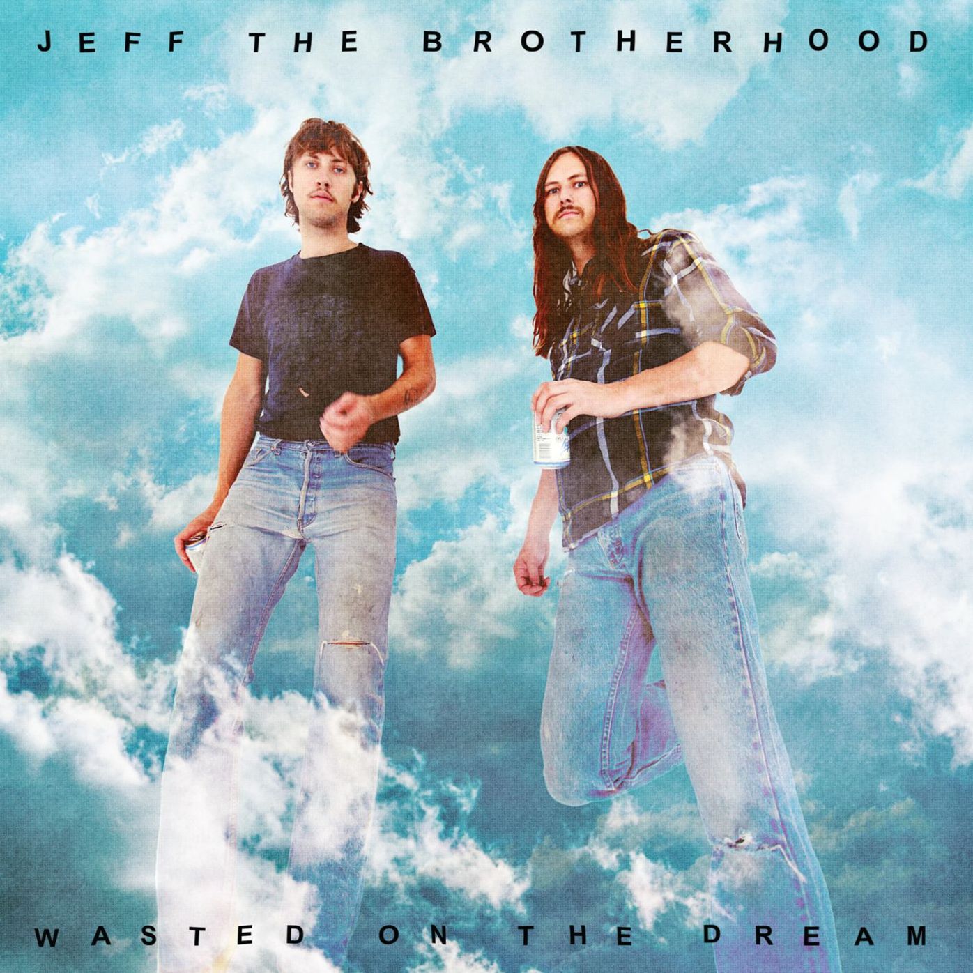Wasted On The Dream [Lp]
