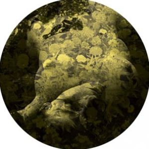 Yellobone