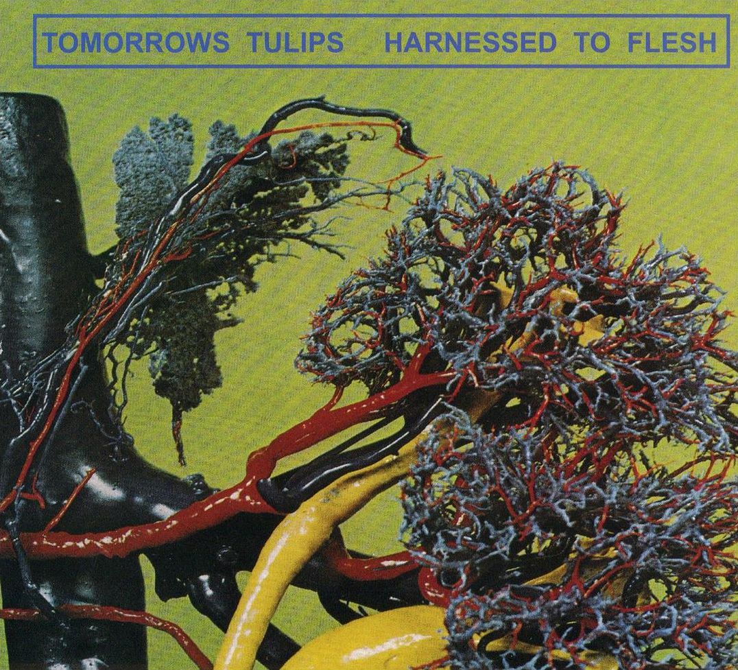 Harnessed to Flesh