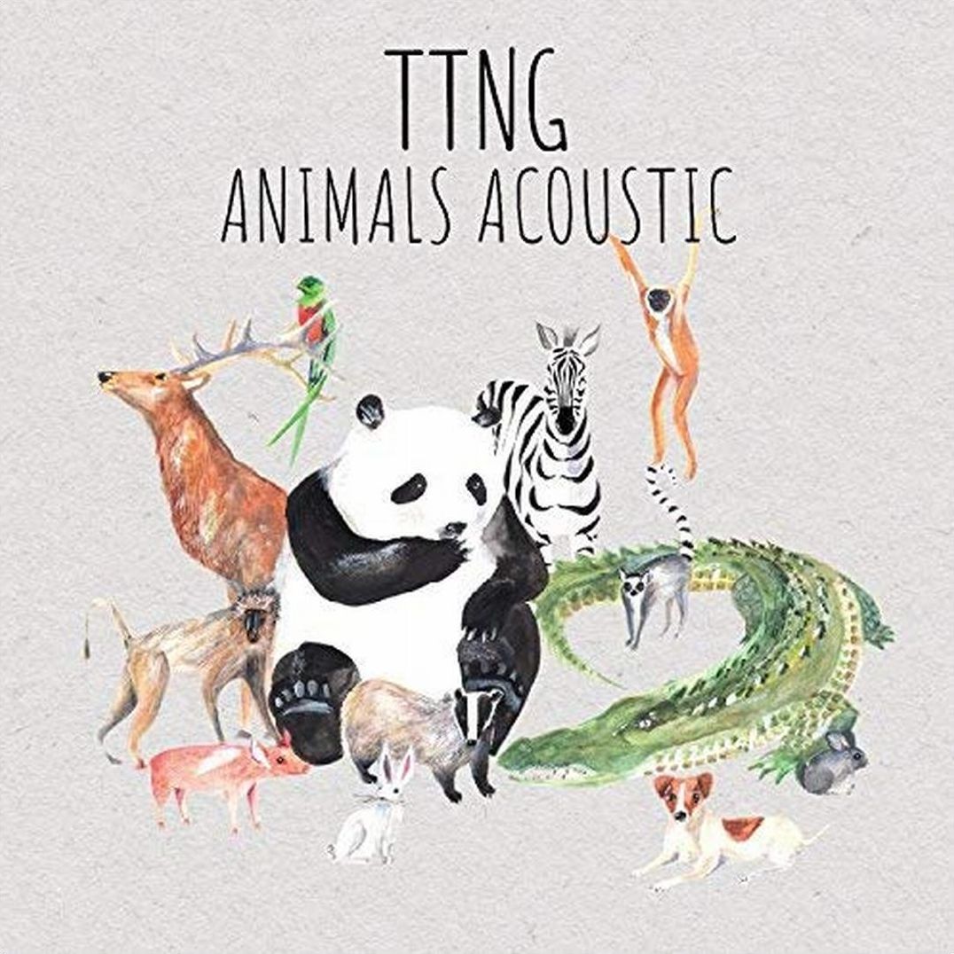 Animals Acoustic