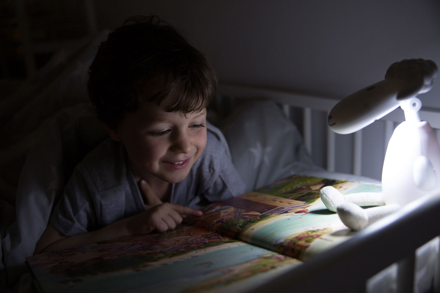 Fin the Sheep Gry Reading Light