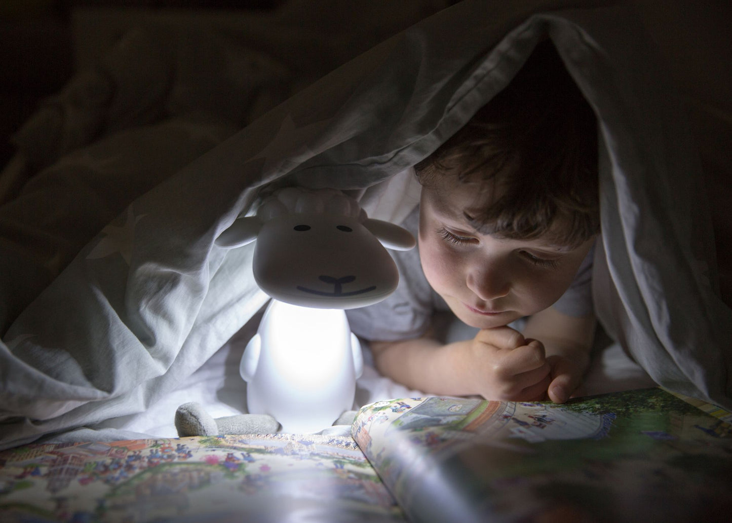 Fin the Sheep Gry Reading Light