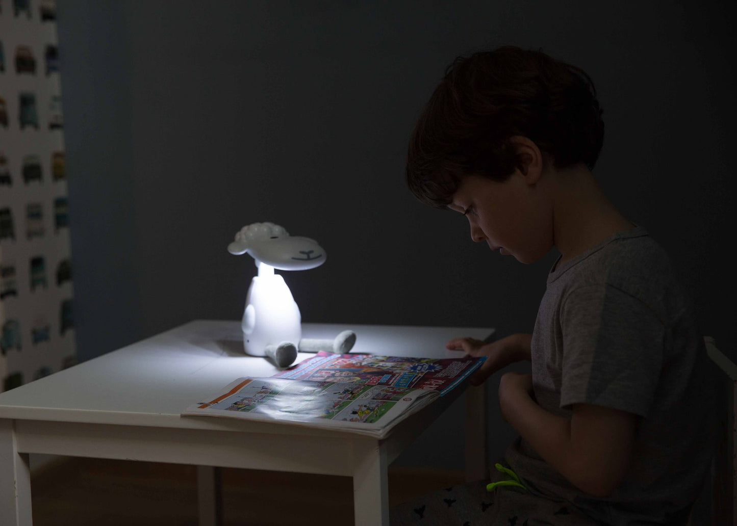 Fin the Sheep Gry Reading Light