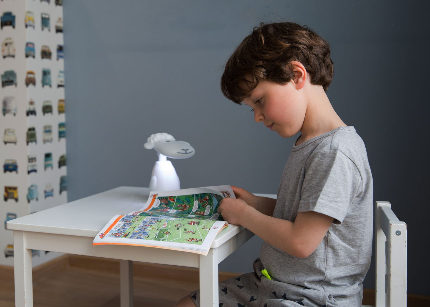 Fin the Sheep Gry Reading Light