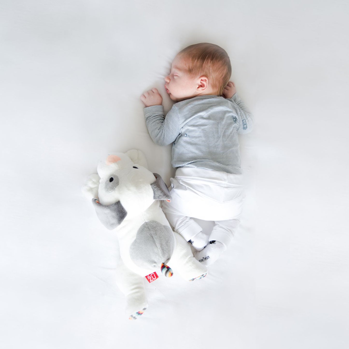 Dog Plush Toy &Noise Machine