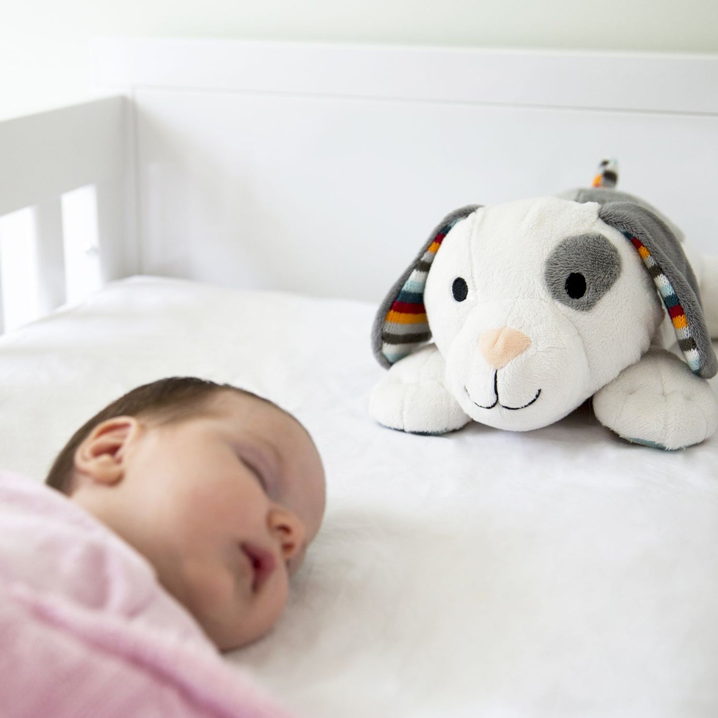 Dog Plush Toy &Noise Machine