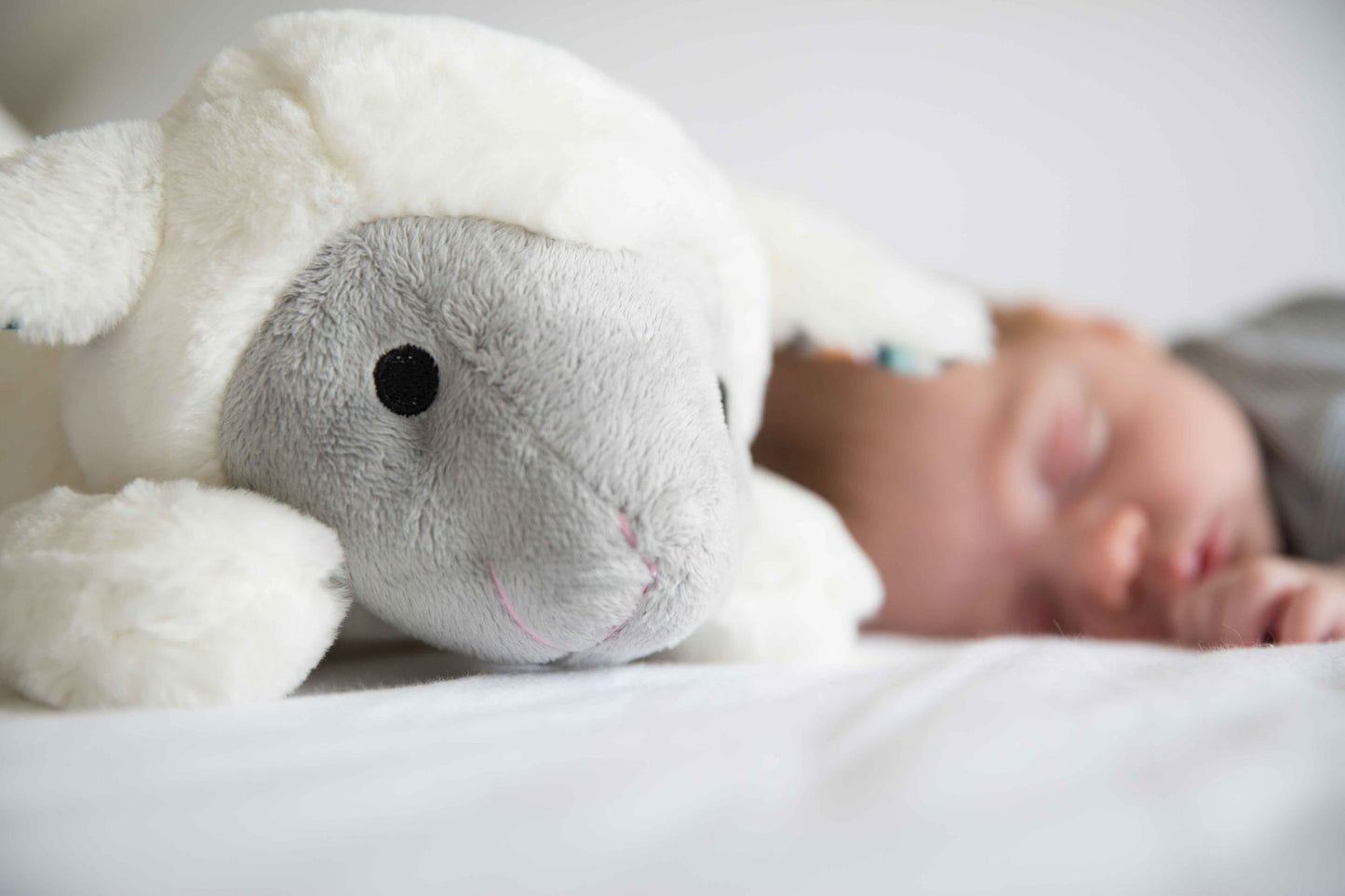 Lamb Plush Toy & Noise Machine
