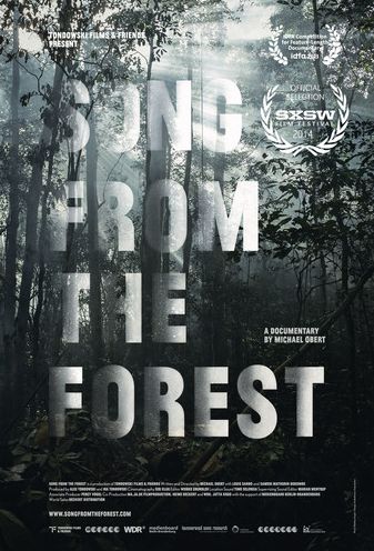 Song From The Forest