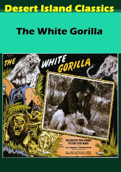 White Gorilla