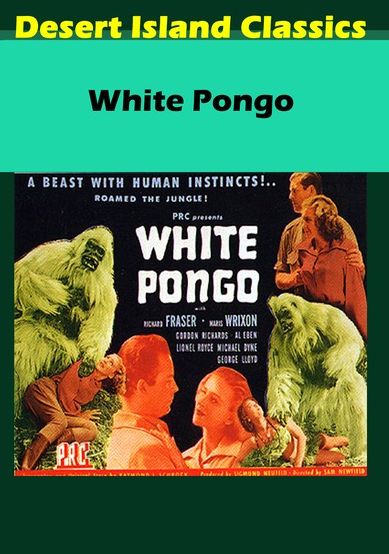 White Pongo