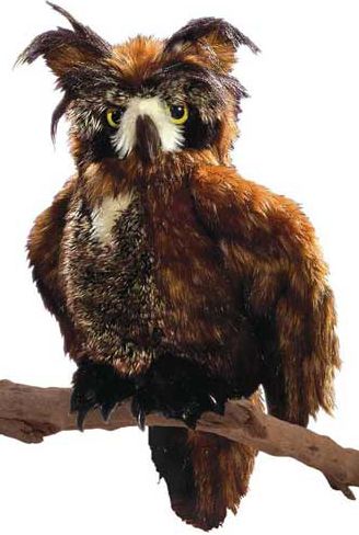 Great Horned Owl Puppet