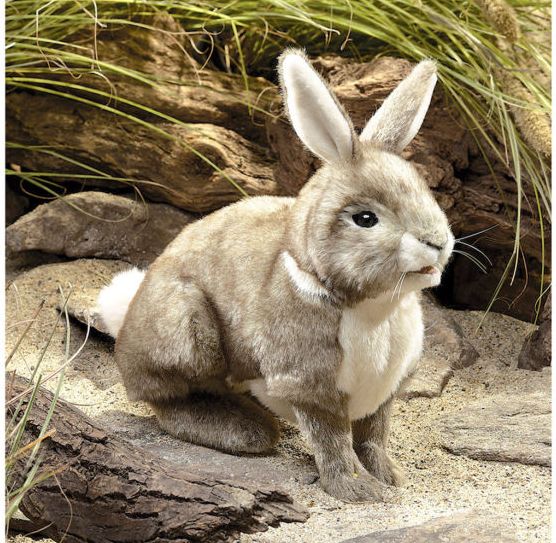 Cottontail Rabbit Puppet