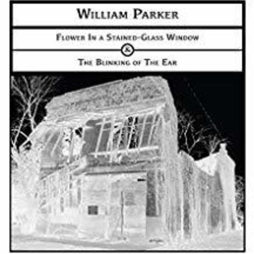 Flower in a Stained-Glass Window/The Blinking of the Ear