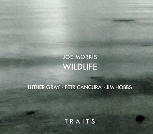Traits