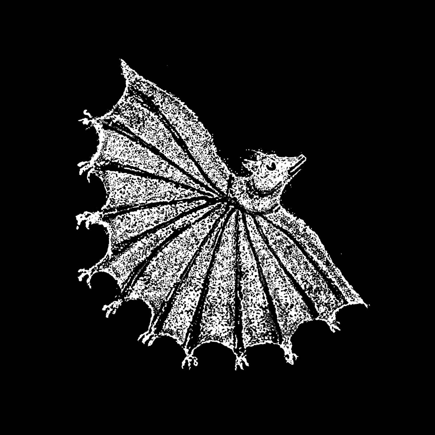 Ignore Grief (Dig)