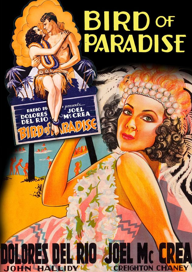 Bird Of Paradise