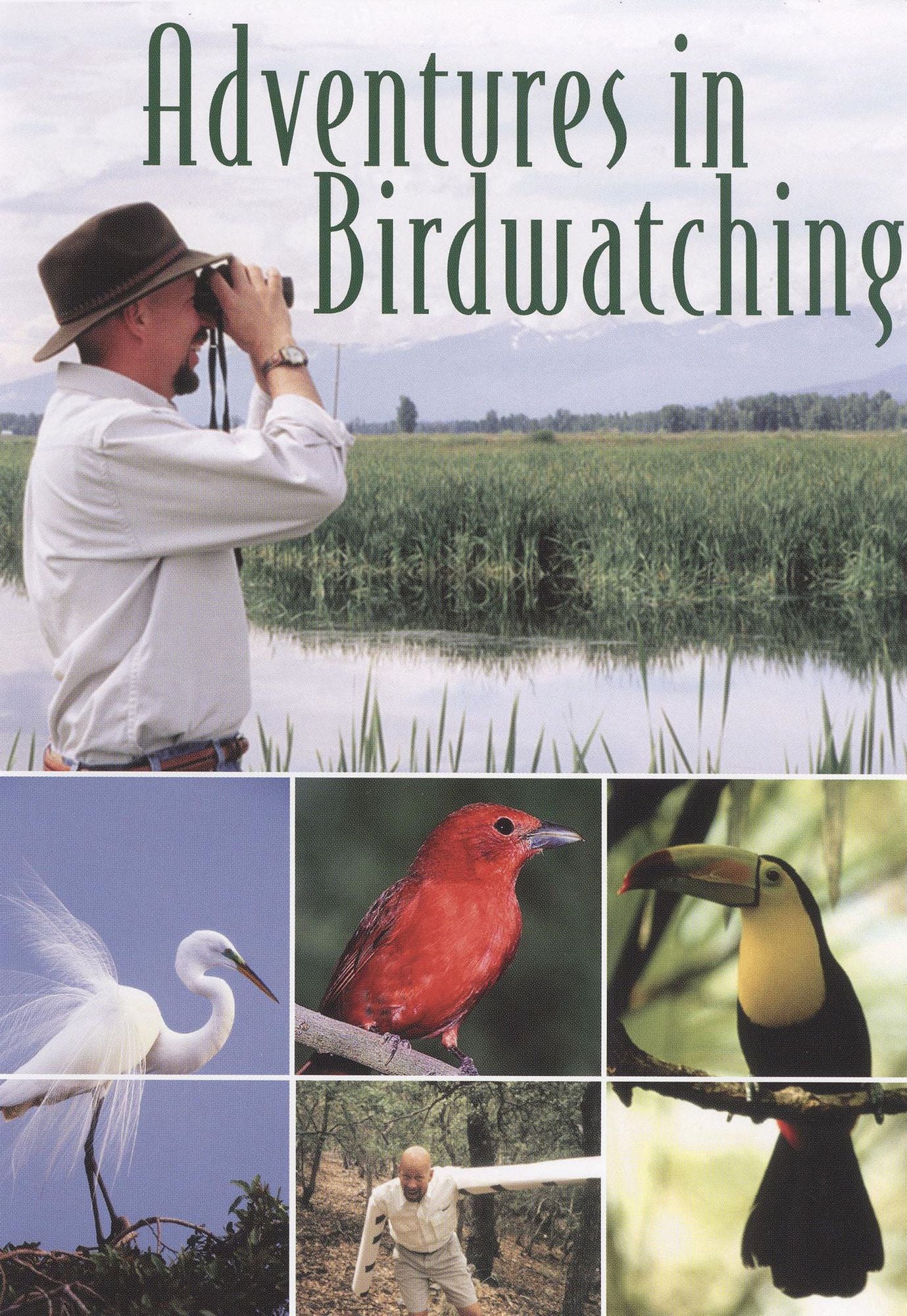 Adventures in Birdwatching
