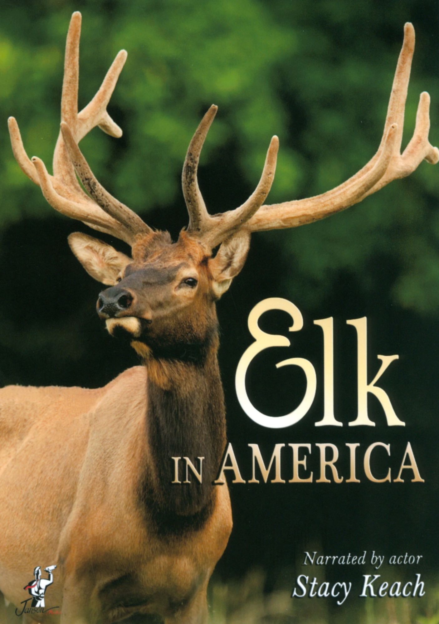 Elk in America