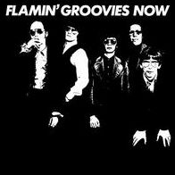 Flamin' Groovies Now