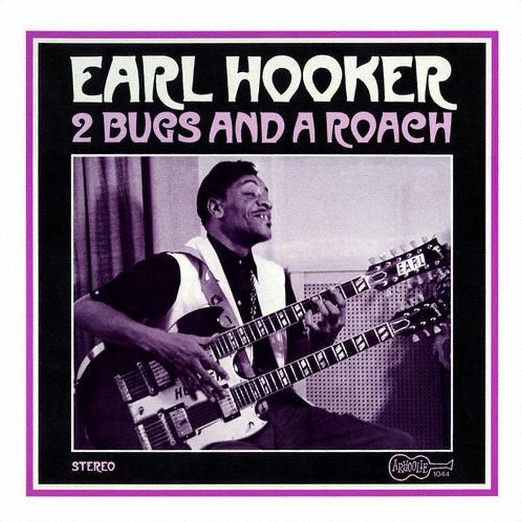 Two Bugs And A Roach