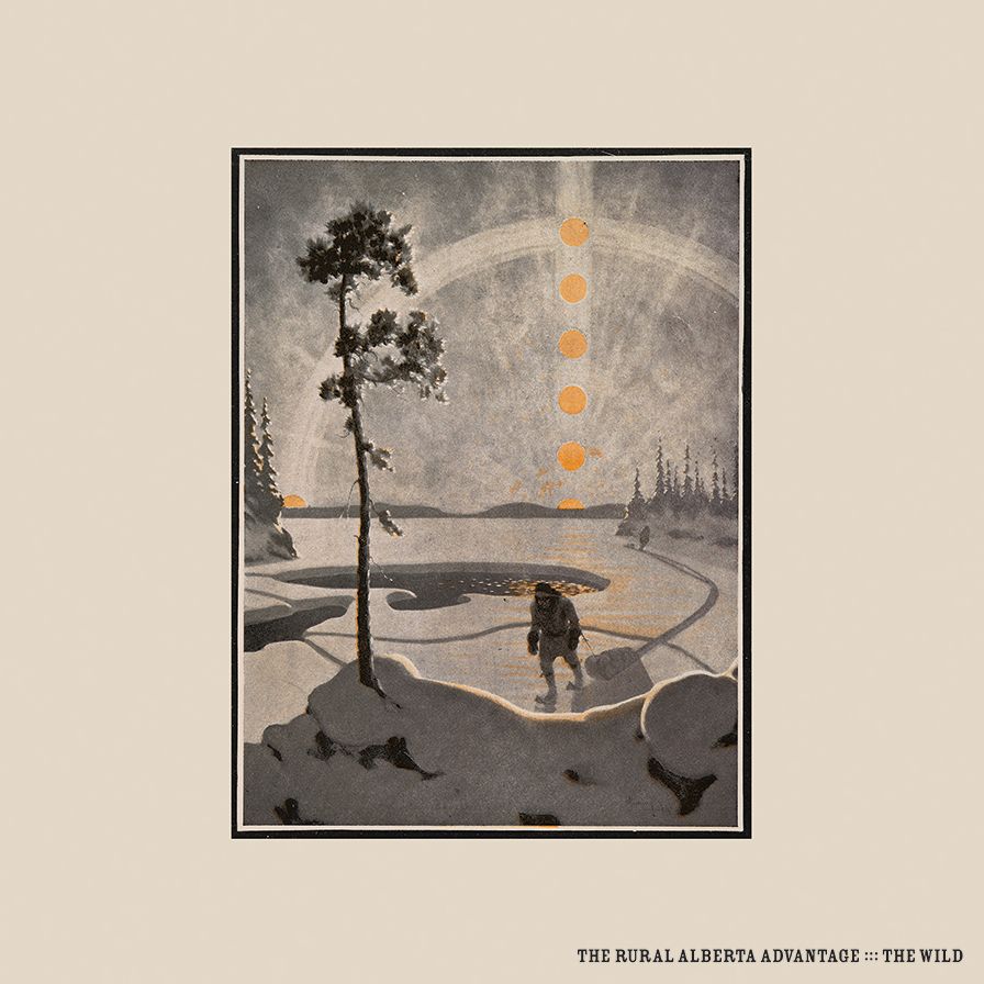 Wild [Lp]