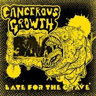 Late For The Grave