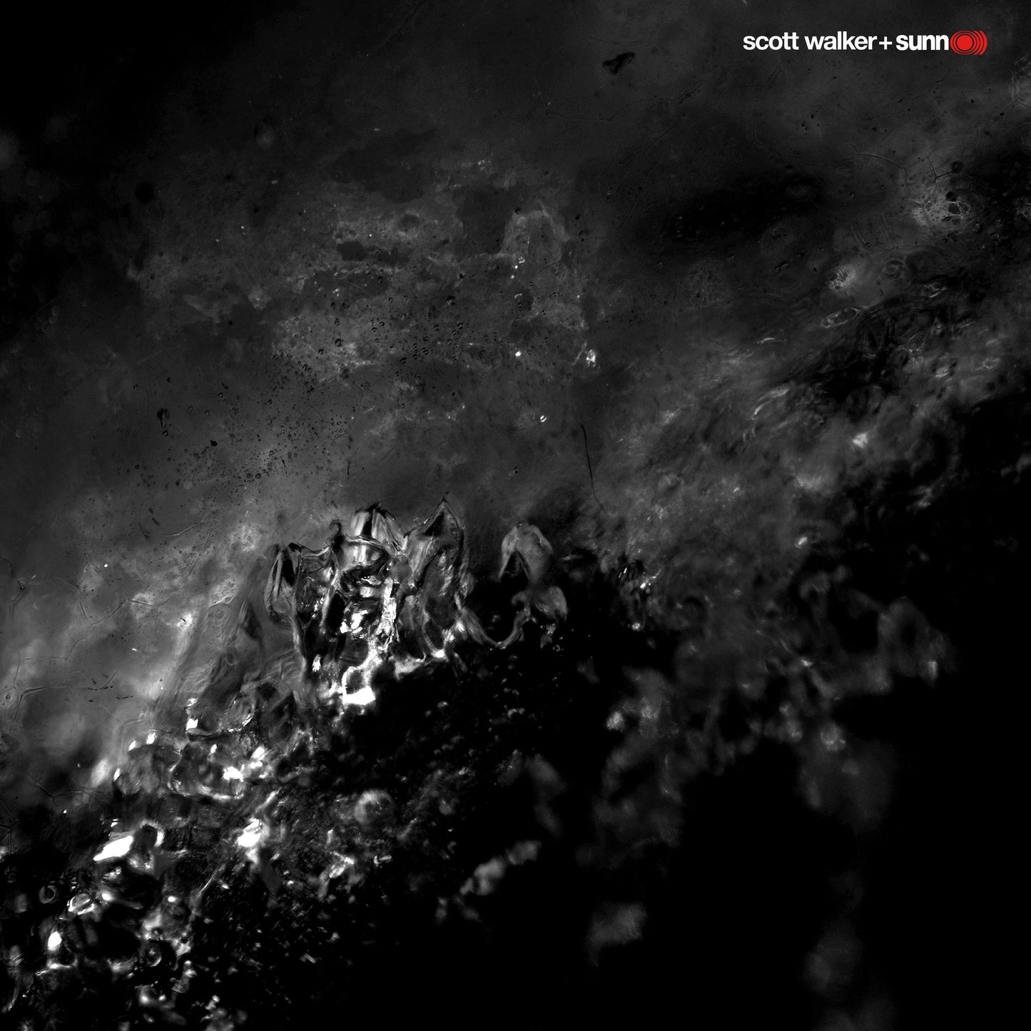 Soused [LP]