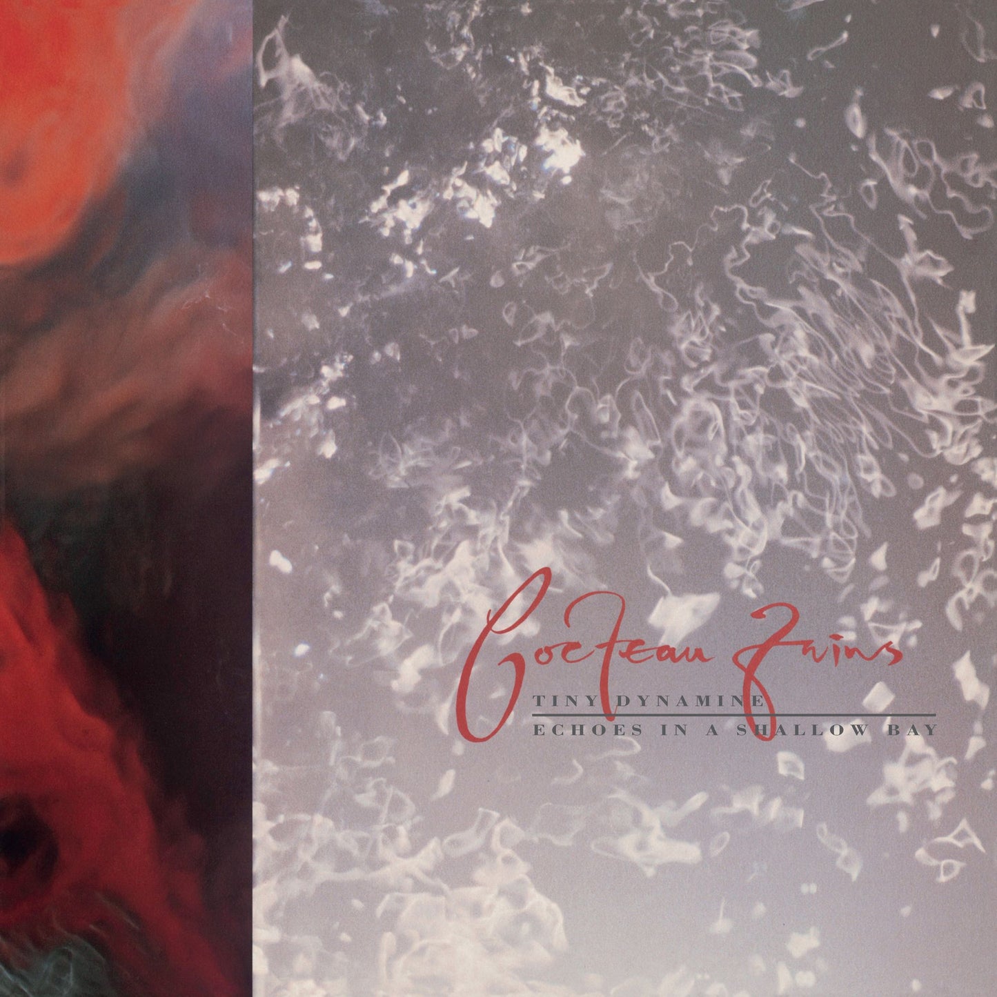 Tiny Dynamine/Echoes in a Shallow Bay [LP]