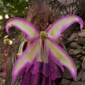 Princess Paradise 185777 Sugar Plum Fairy Child Wings