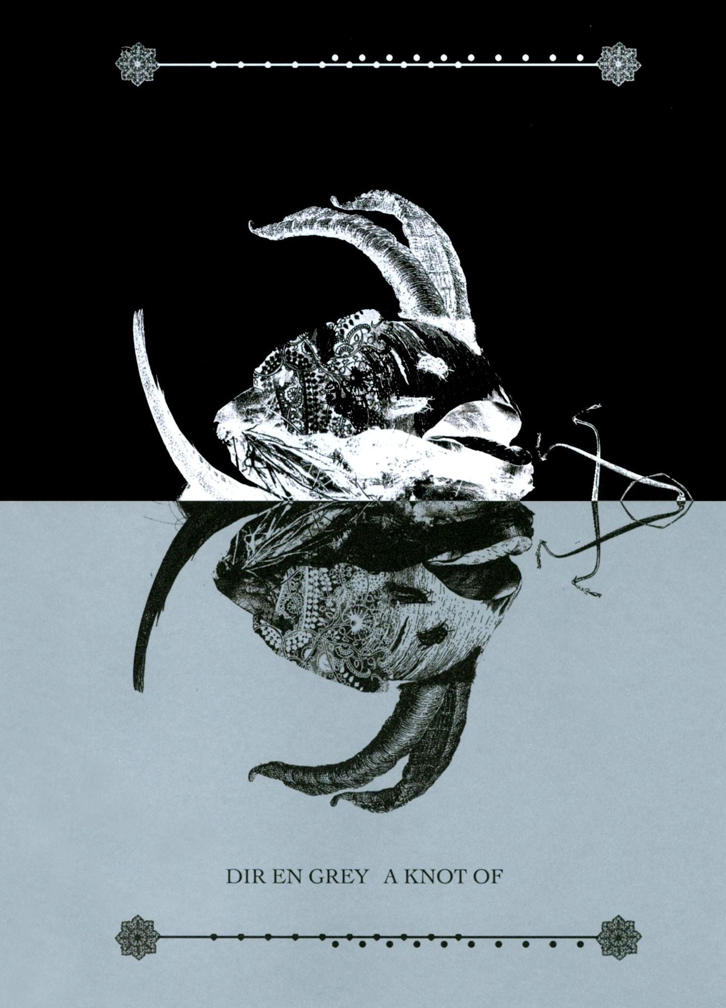 Dir en Grey: A Knot Of