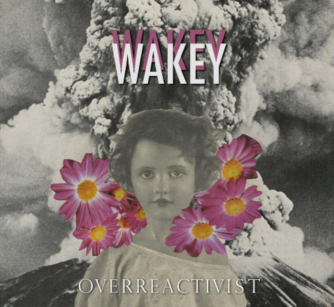 Overreactivist