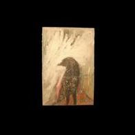 The Souls Of Birds And Mice