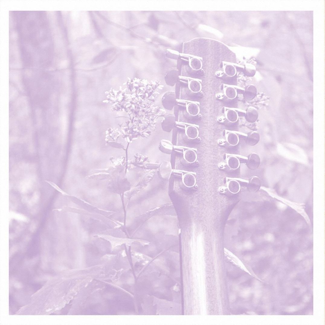 Vdsq: Solo Acoustic, Vol. 12