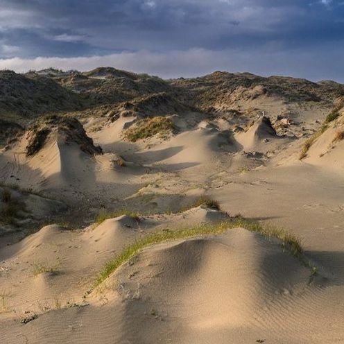Dune Worship