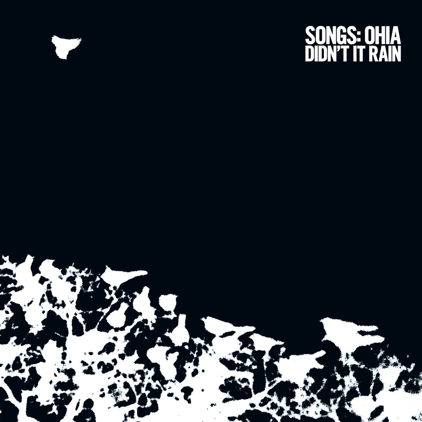 Didn't It Rain [LP] [Bonus Tracks]