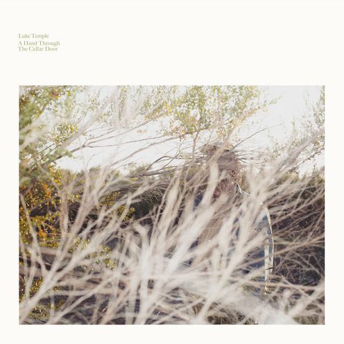 Hand Through The Cellar Door (Luke Temple)