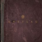 Greylag