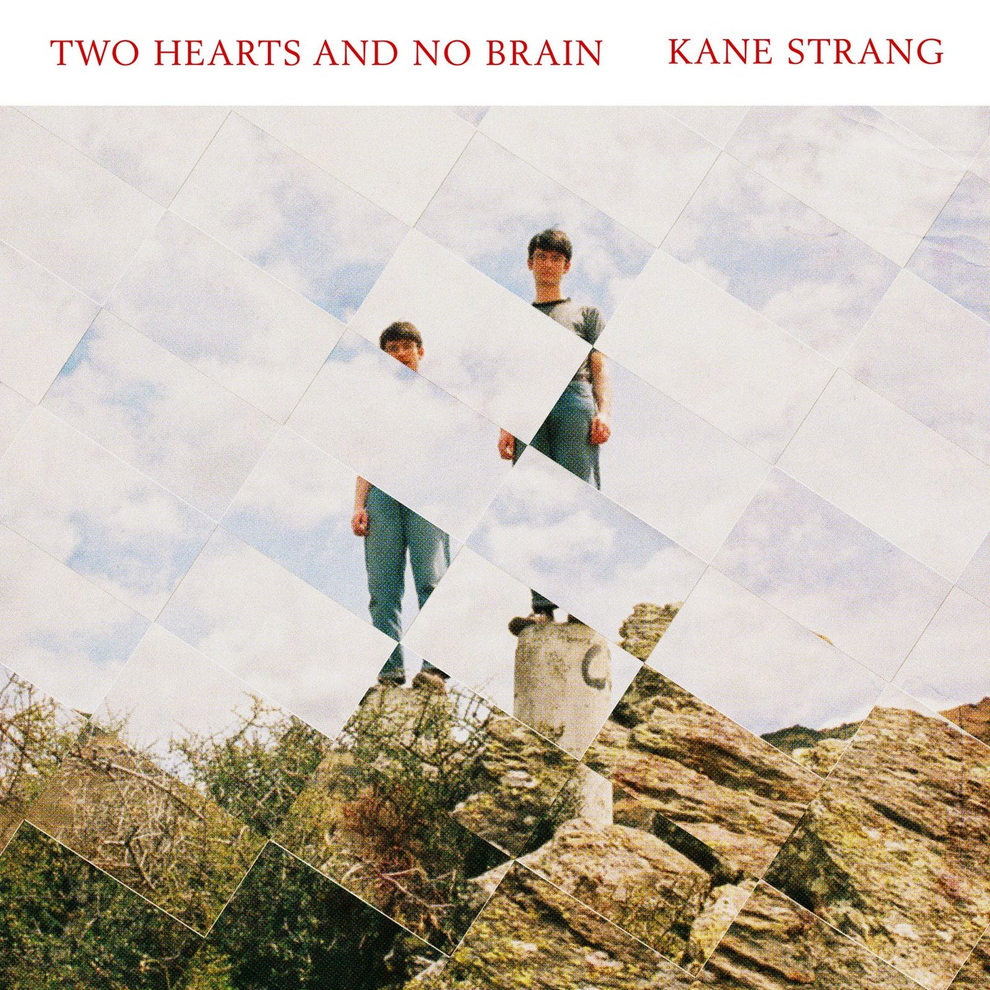 Two Hearts And No Brain [Lp]