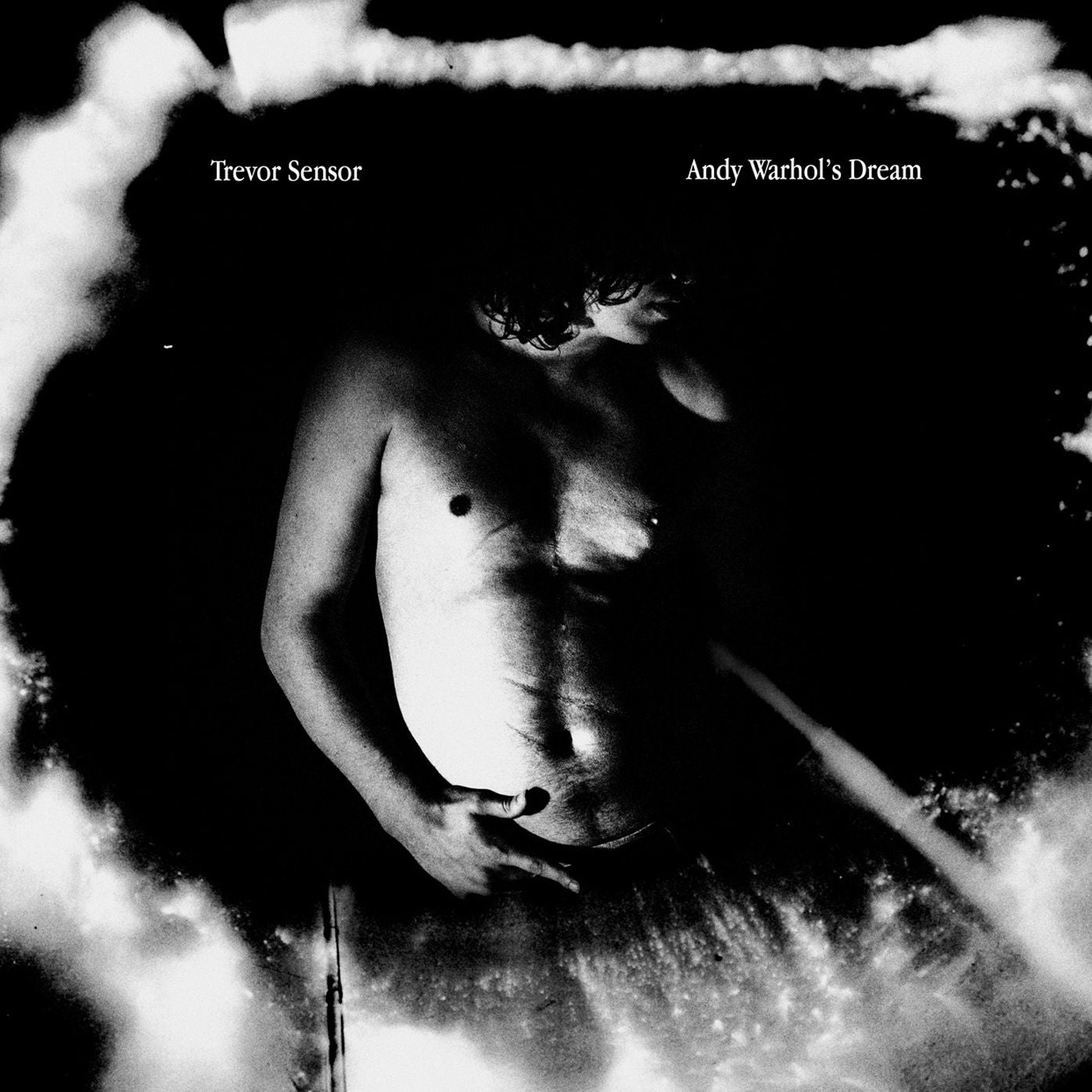 Andy Warhol's Dream [Lp]