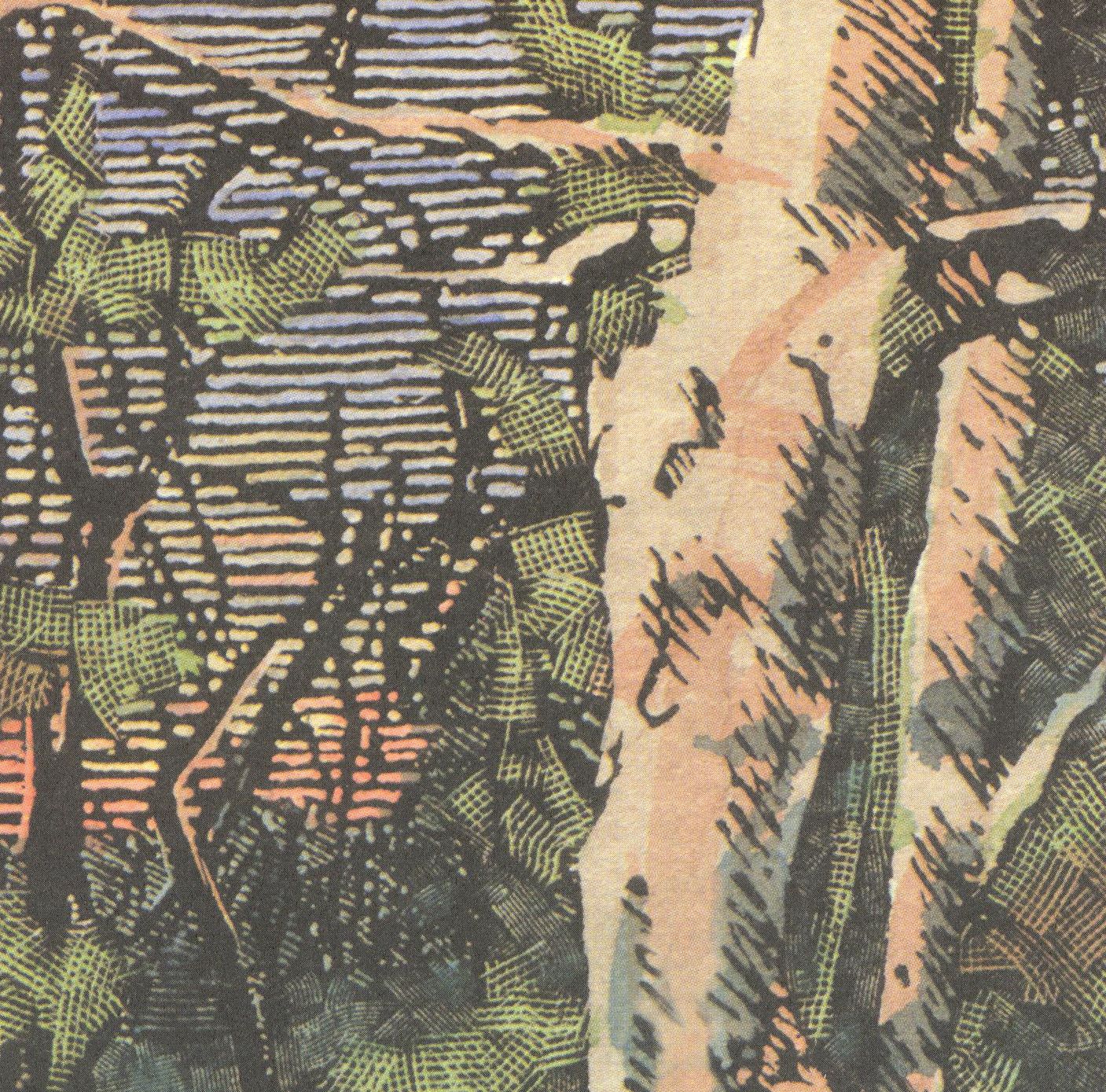 Asleep Many Years in the Wood
