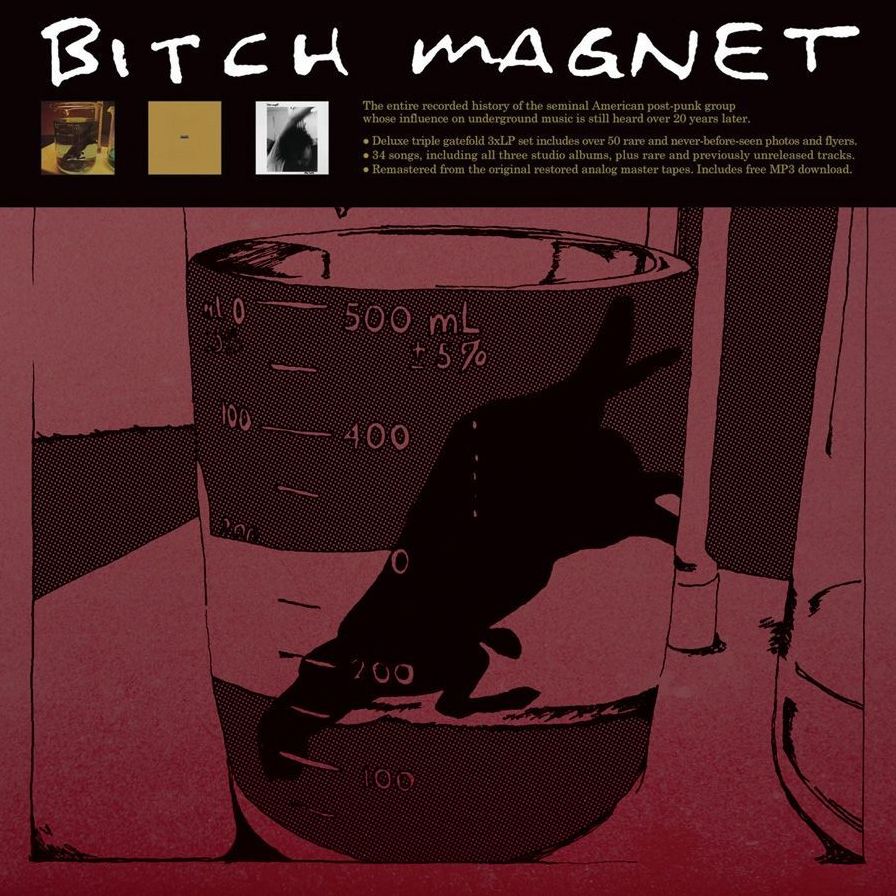 Bitch Magnet