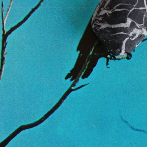 Stateless [Lp]