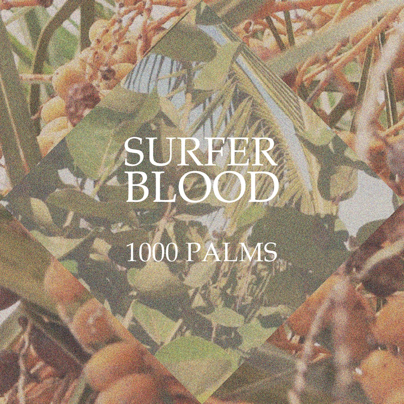 1000 Palms