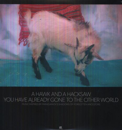 You Have Already Gone To The Other World